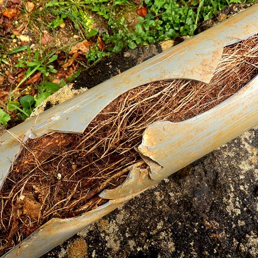 Same Day Drain Sewer & Rooter Pros Across Laconia